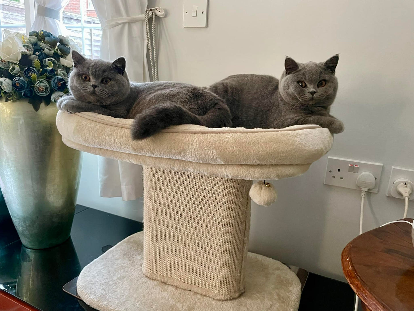 Cat Tree Tower
