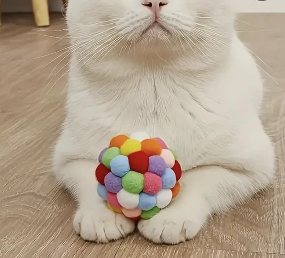 Cat Ball Toy - 6cm