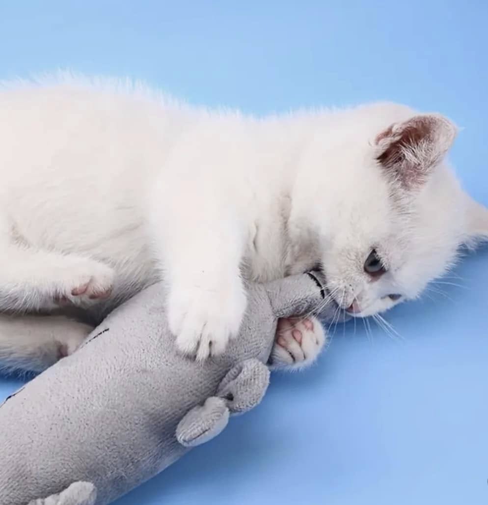 Cat Plush Toy