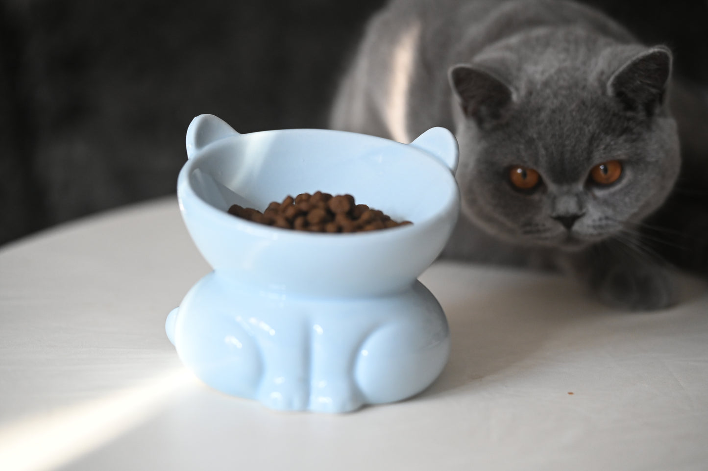Ceramic Pet Bowl - Blue