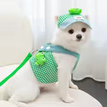 Pet Chest Harness