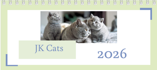 2026 Desk Calendar