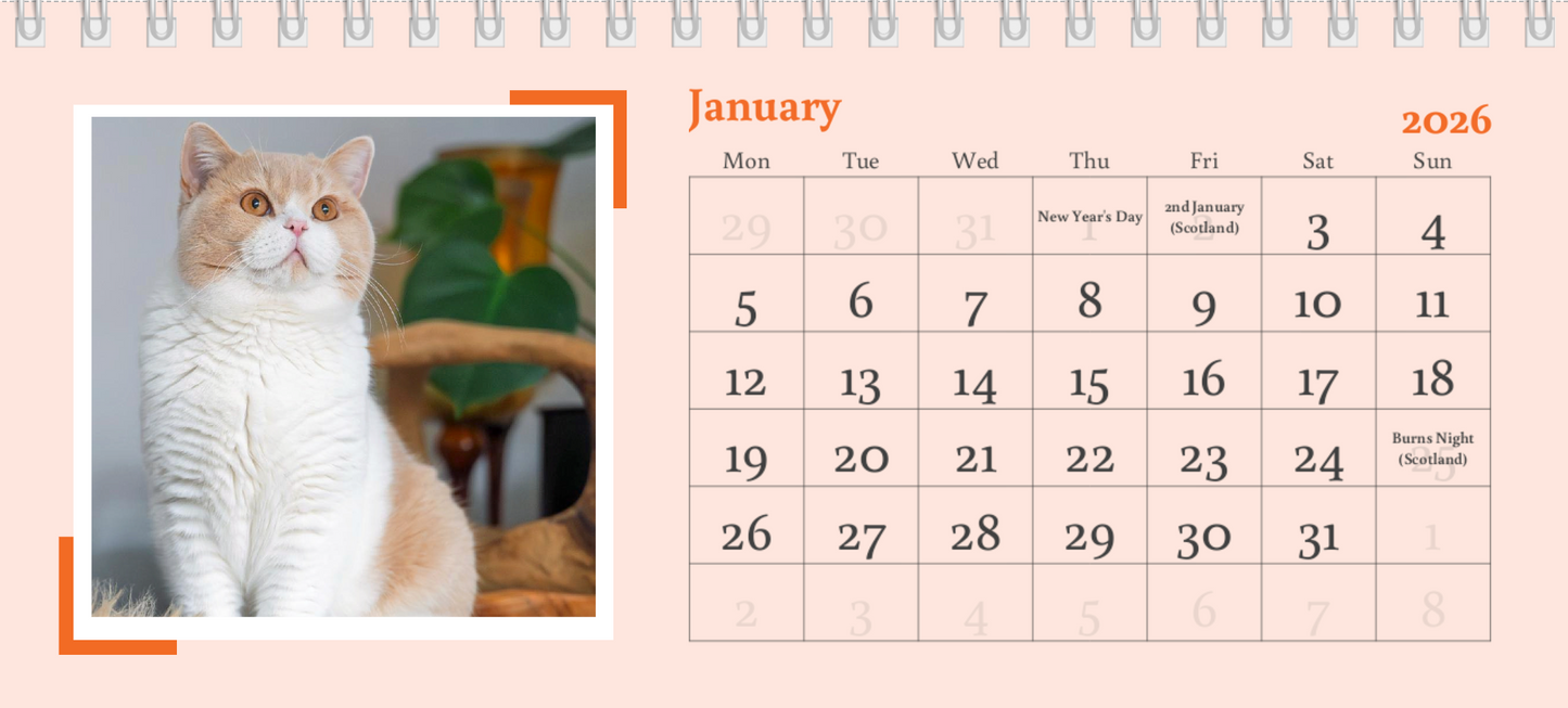 2026 Desk Calendar