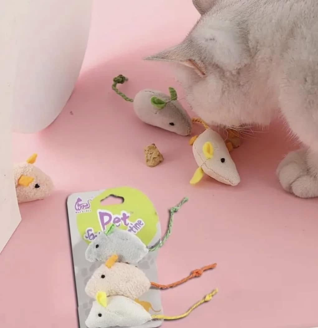 Mouse Cat