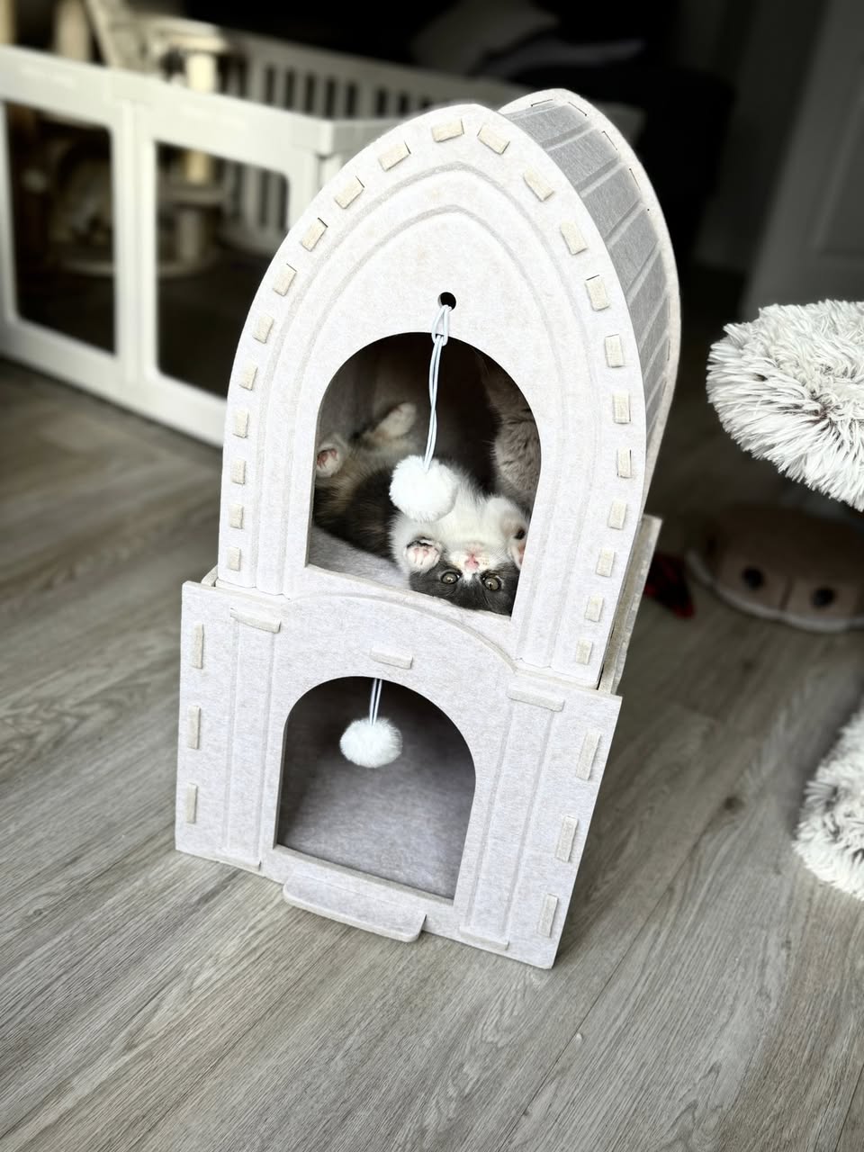 Cat House - Tower