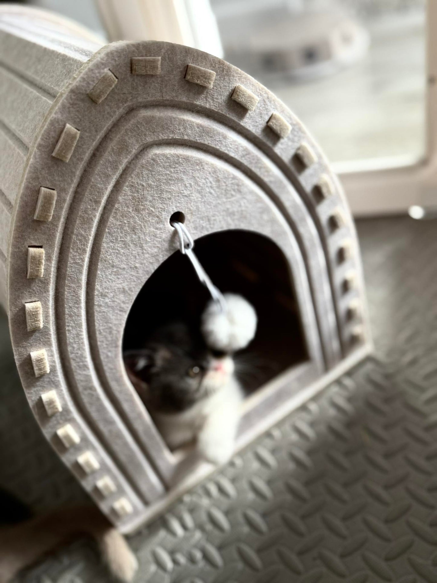 Cat House - Tower
