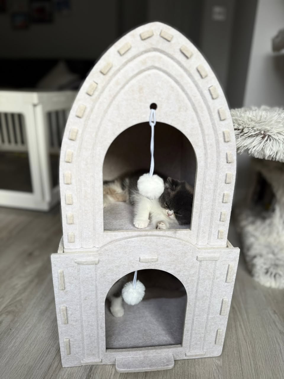 Cat House - Tower