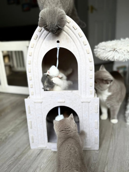 Cat House - Tower
