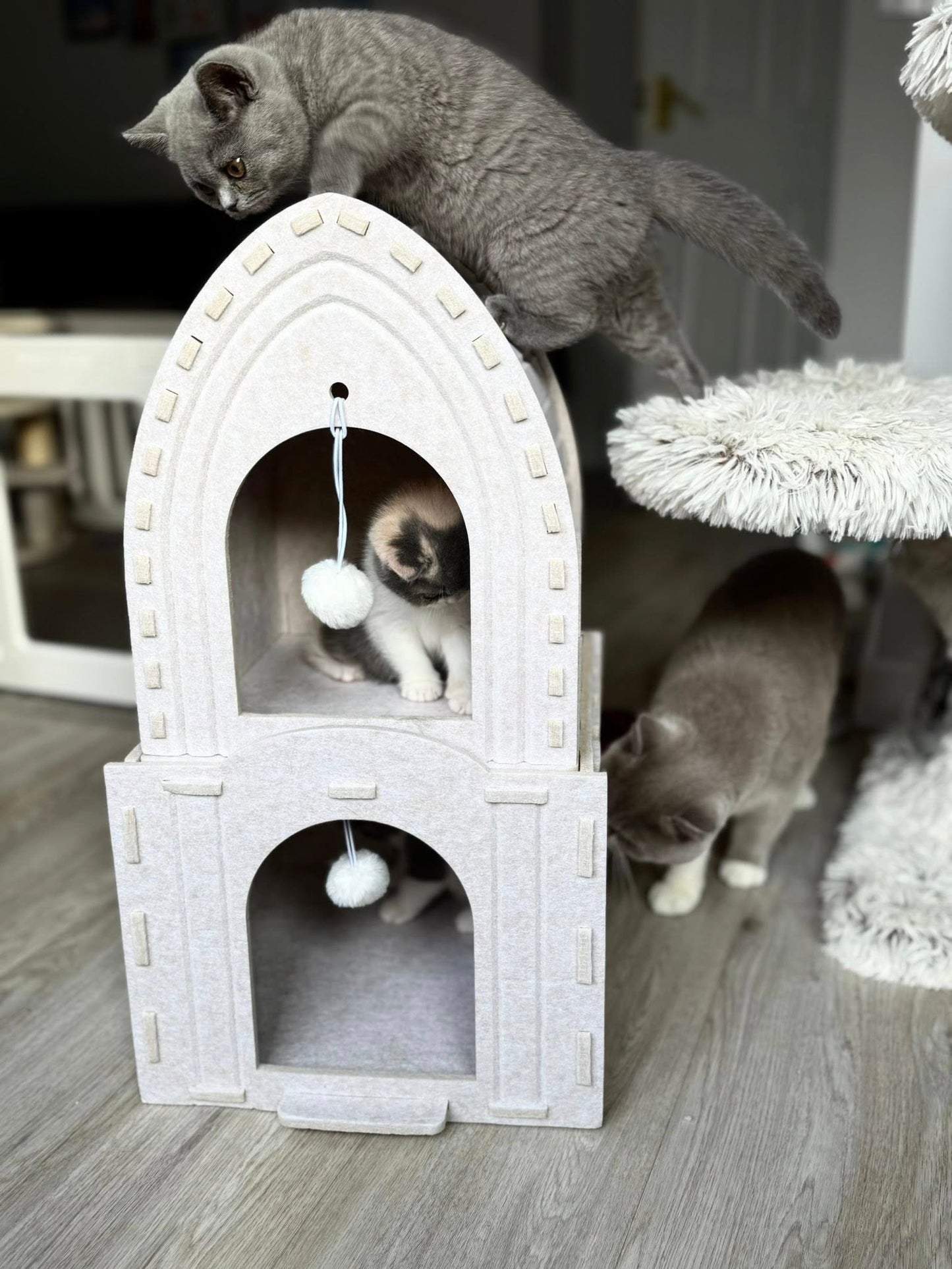 Cat House - Tower