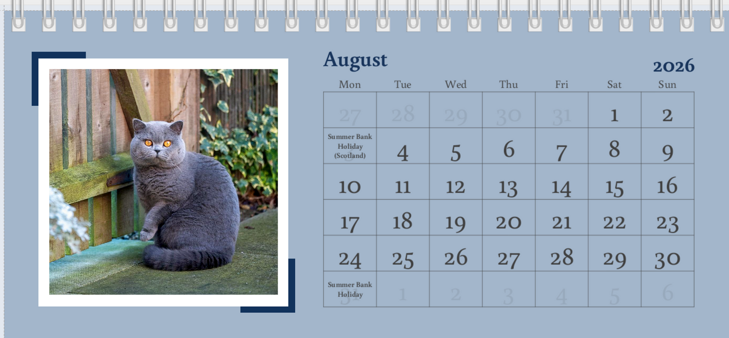 2026 Desk Calendar