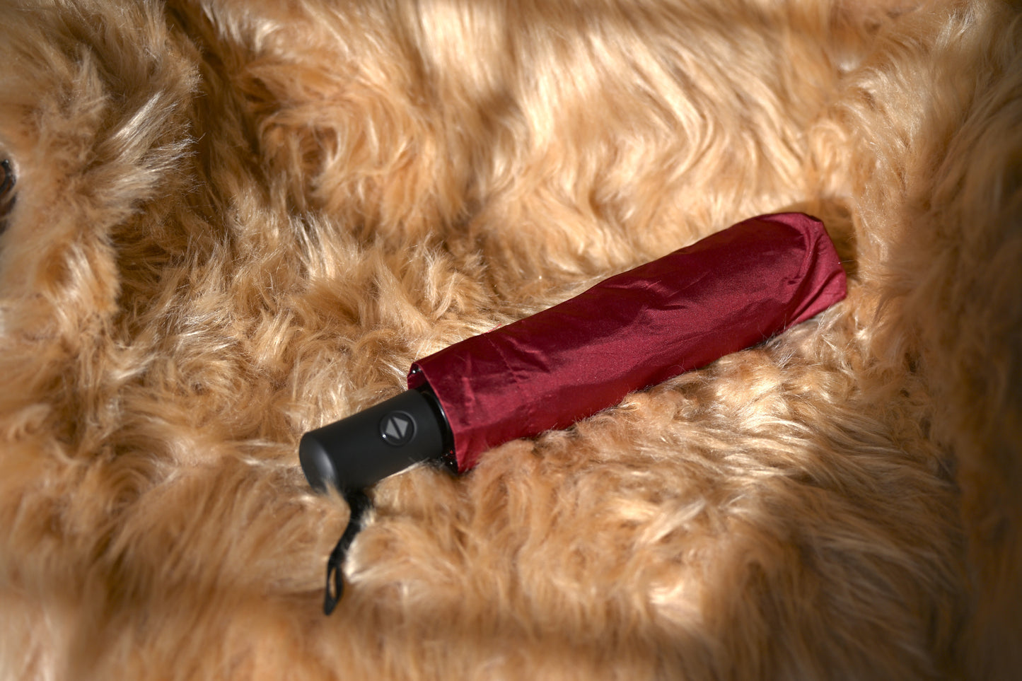 Automatic Umbrella with JKCats Logo