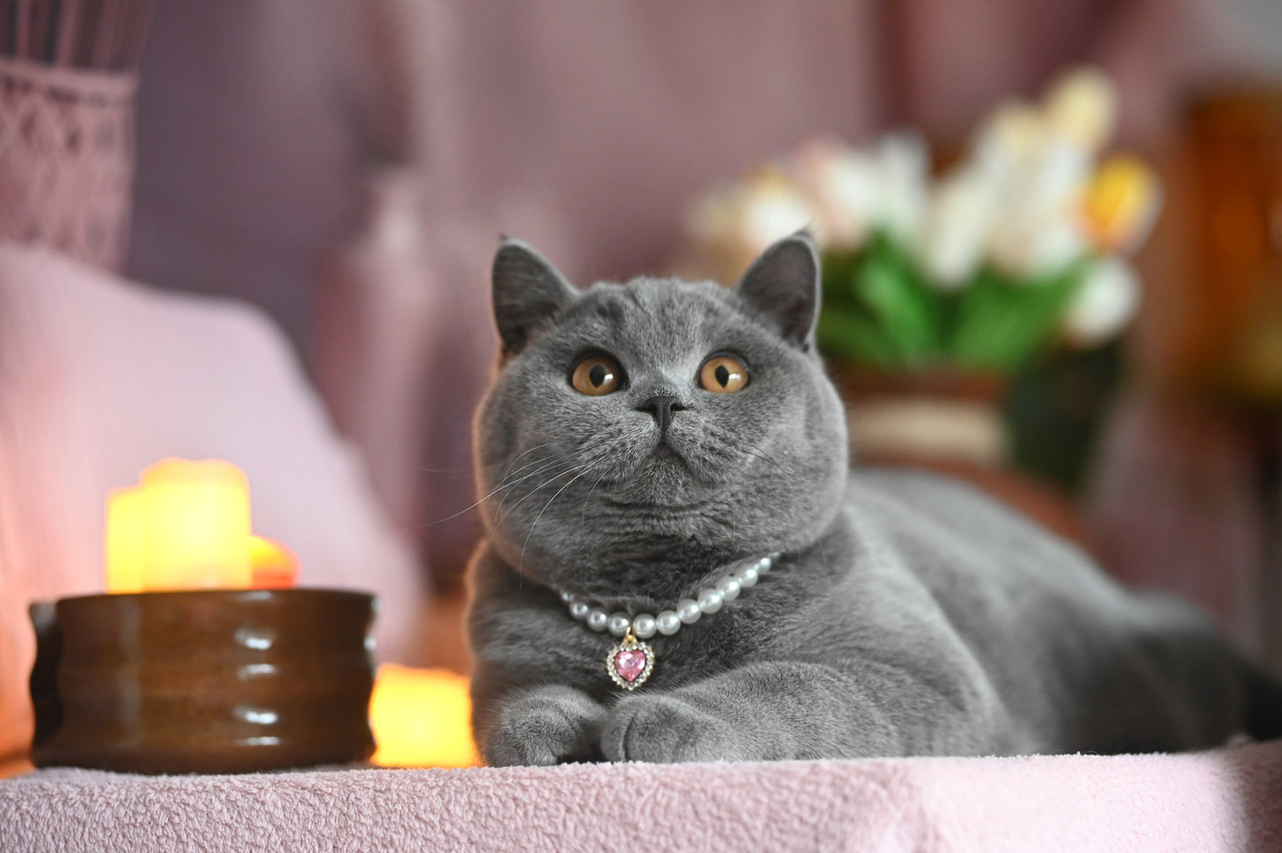 Pendant Necklace for Cat