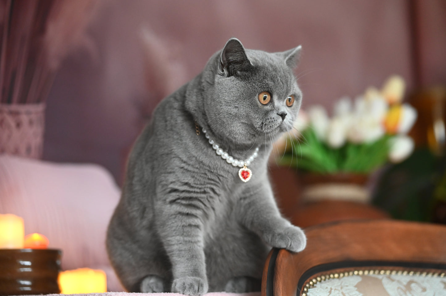 Pendant Necklace for Cat