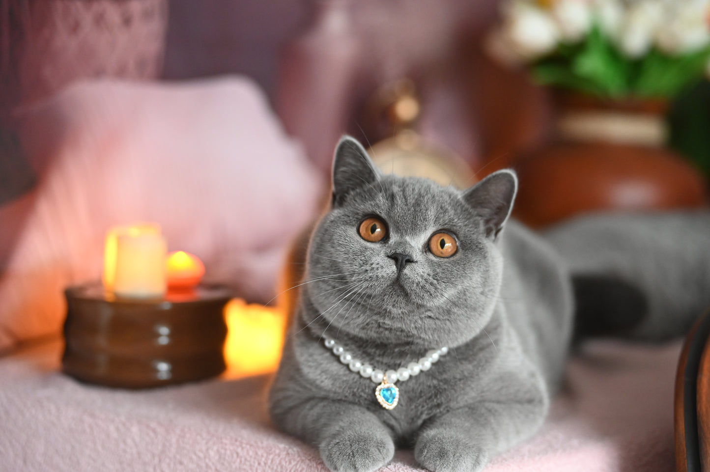 Pendant Necklace for Cat