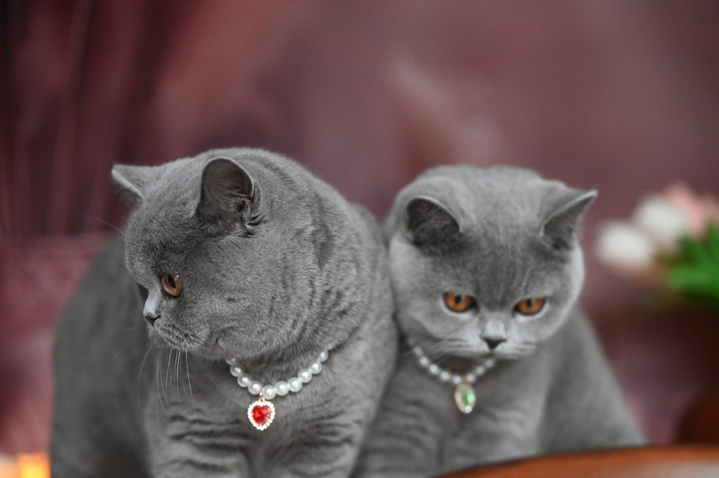 Pendant Necklace for Cat