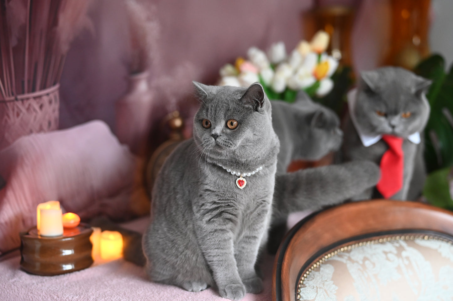 Pendant Necklace for Cat