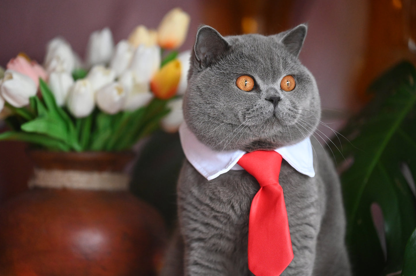 Pet Tie