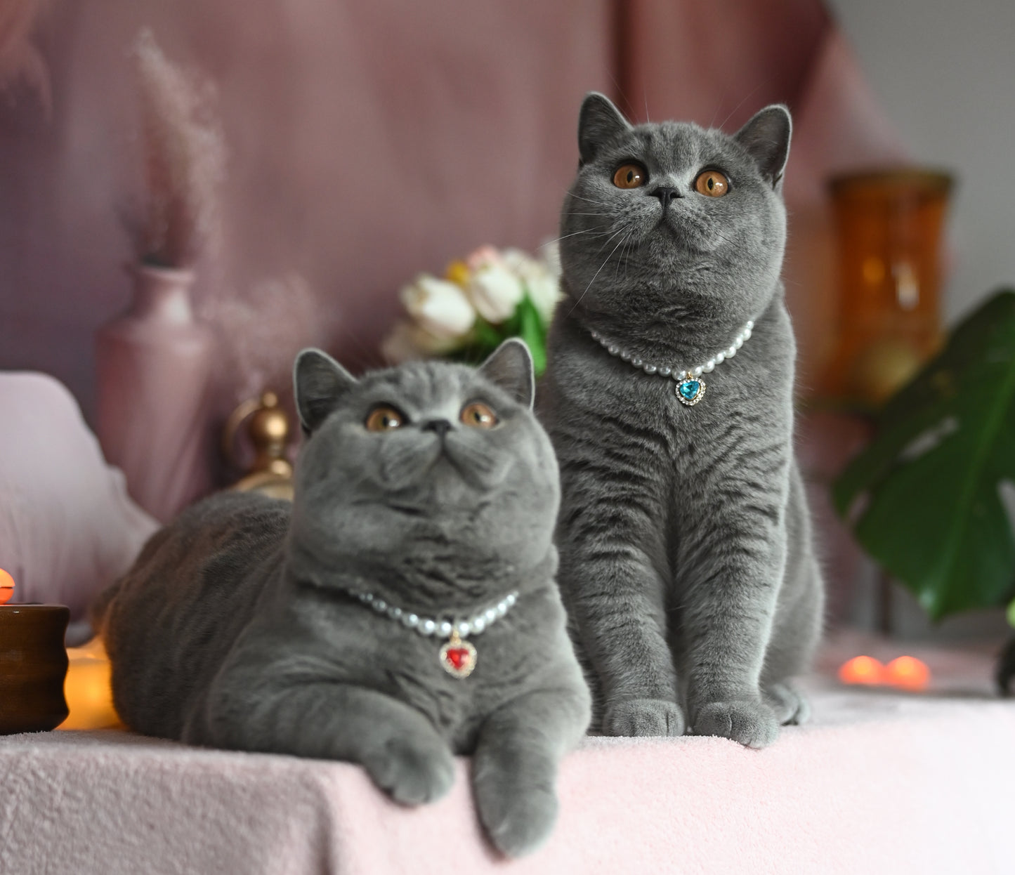Pendant Necklace for Cat