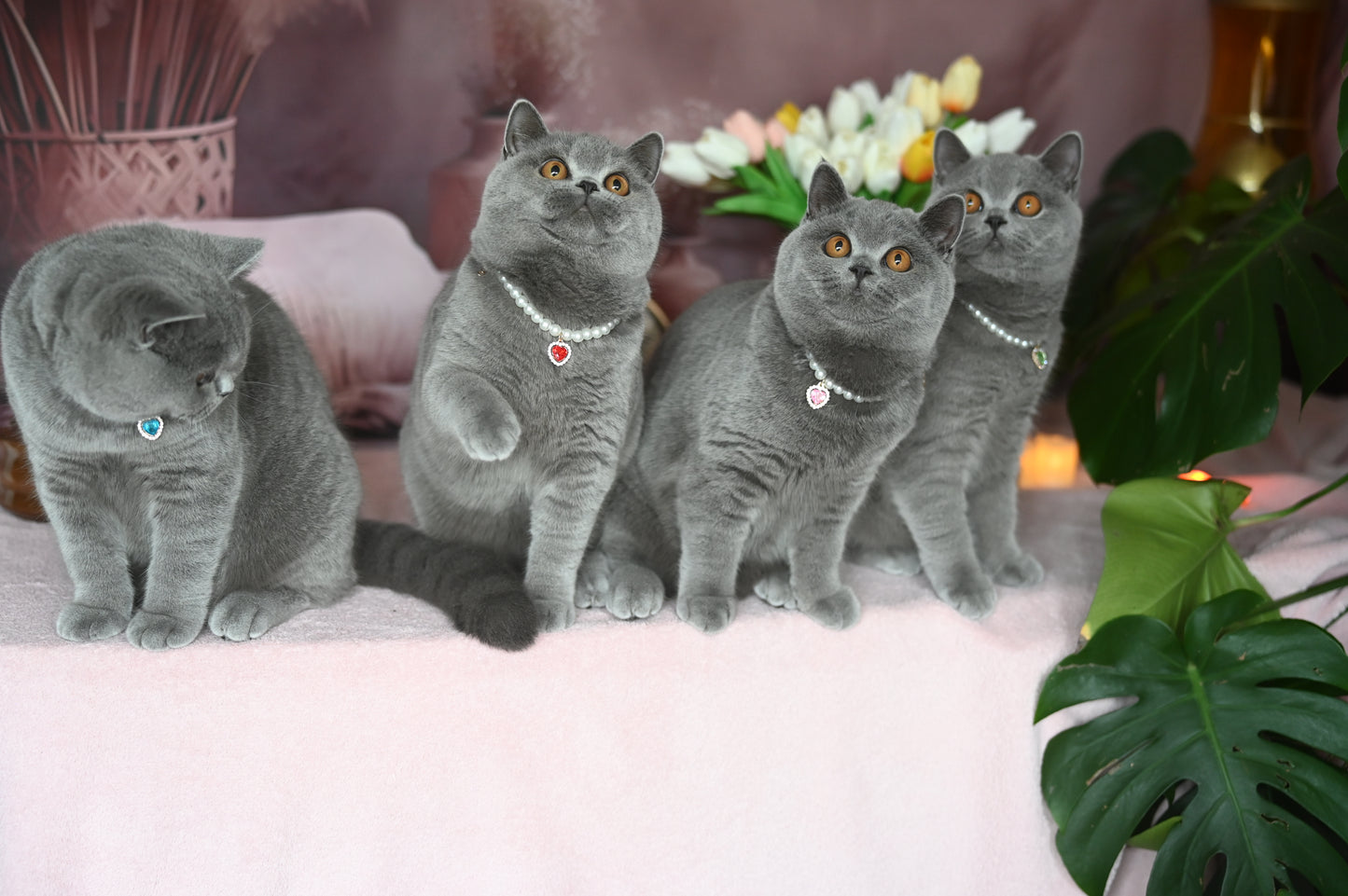 Pendant Necklace for Cat