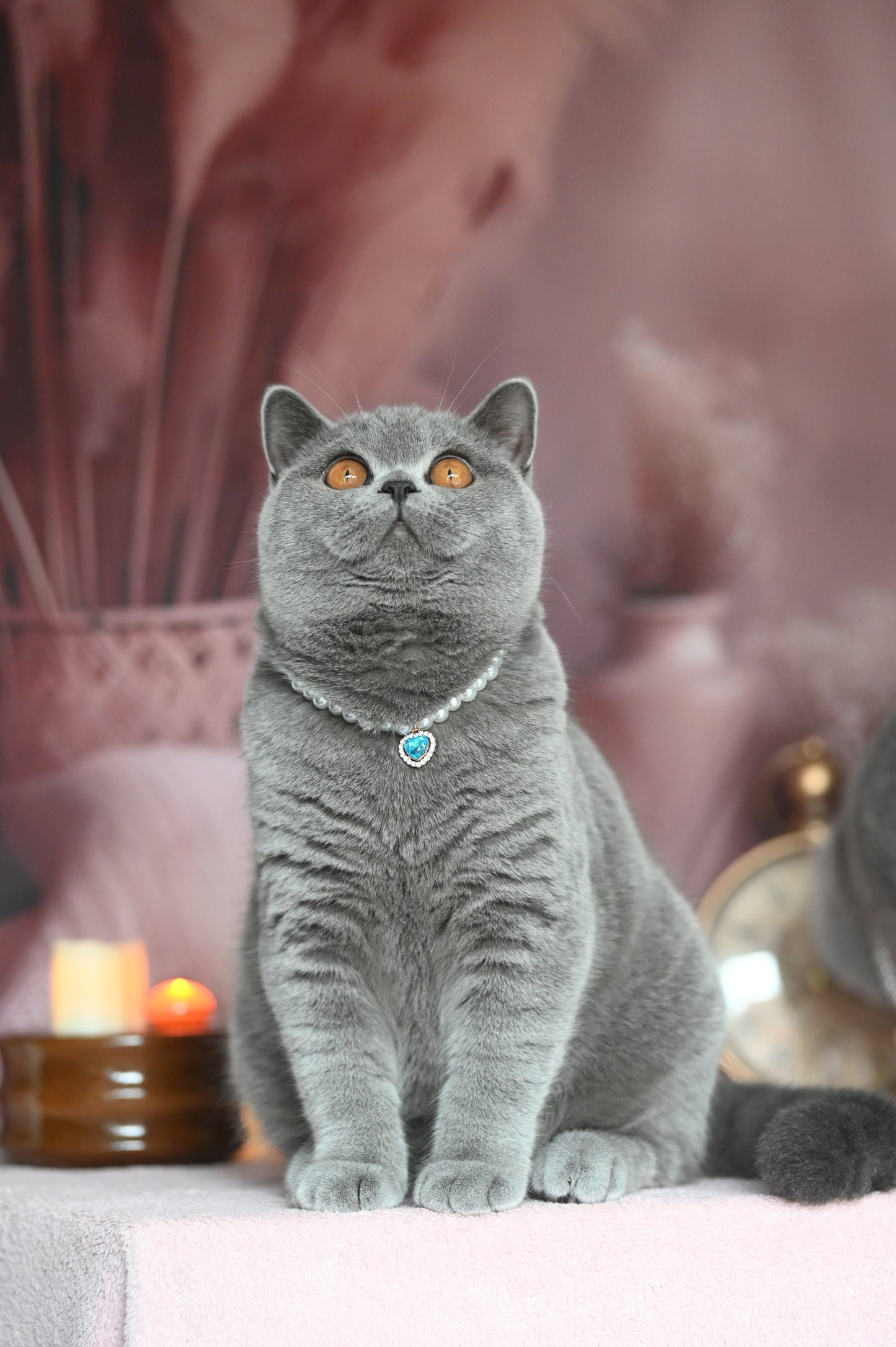 Pendant Necklace for Cat