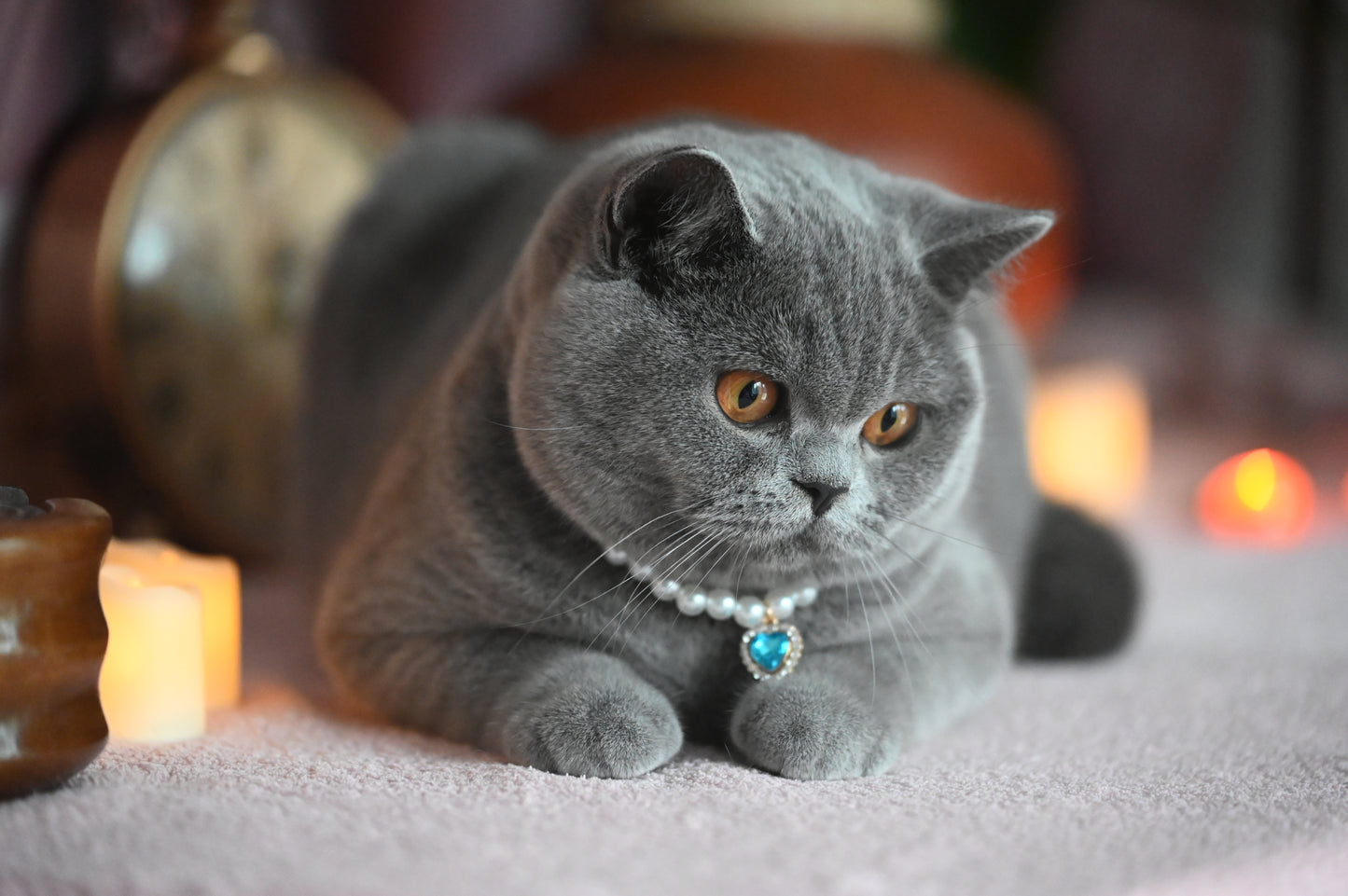 Pendant Necklace for Cat