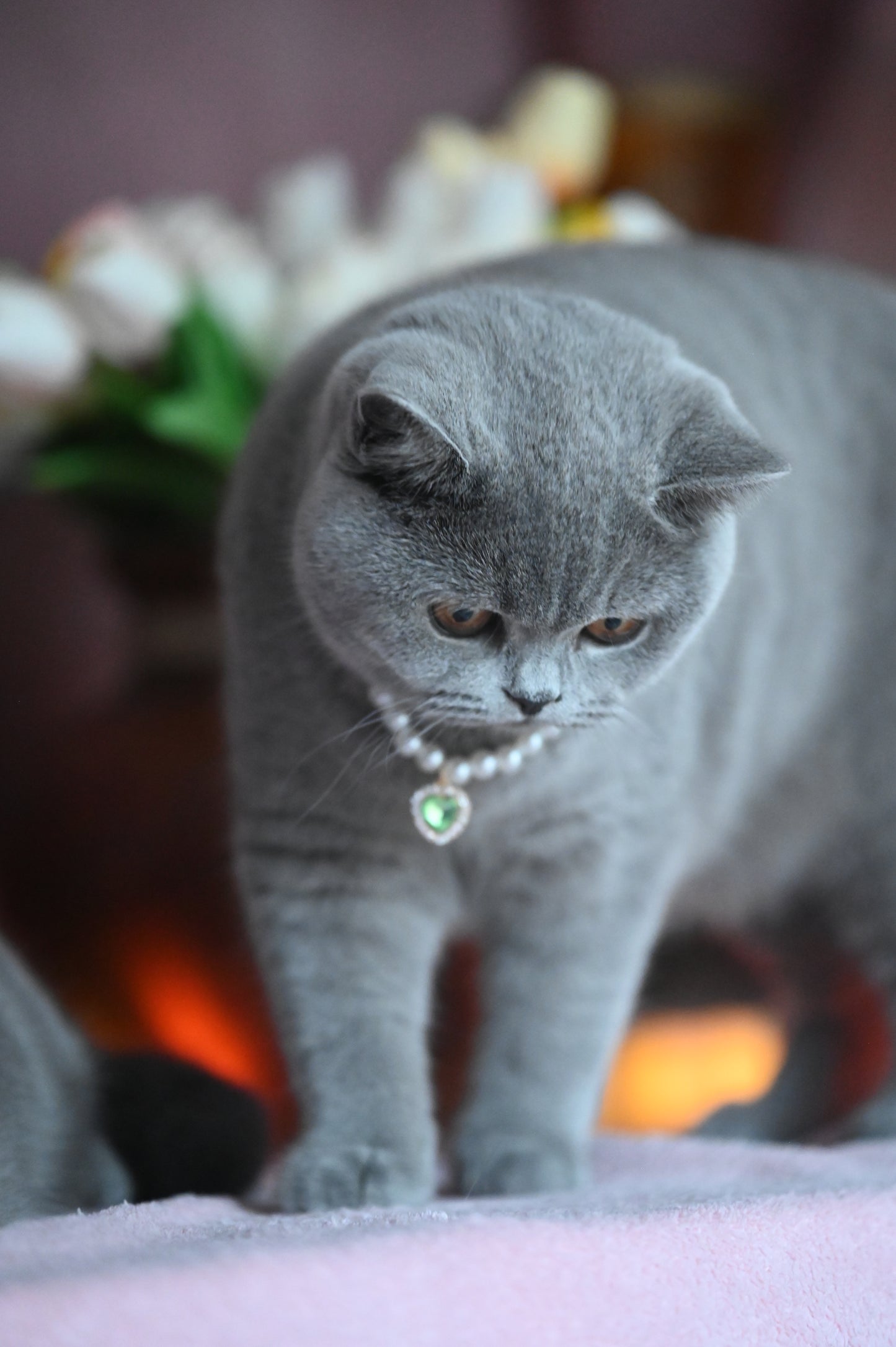 Pendant Necklace for Cat