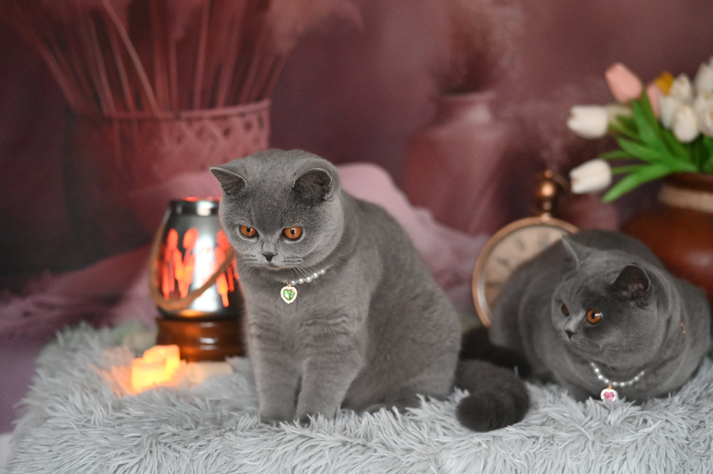Pendant Necklace for Cat