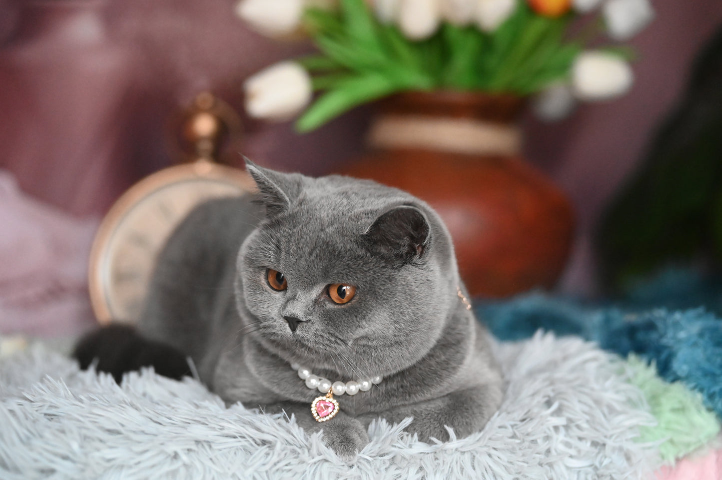 Pendant Necklace for Cat
