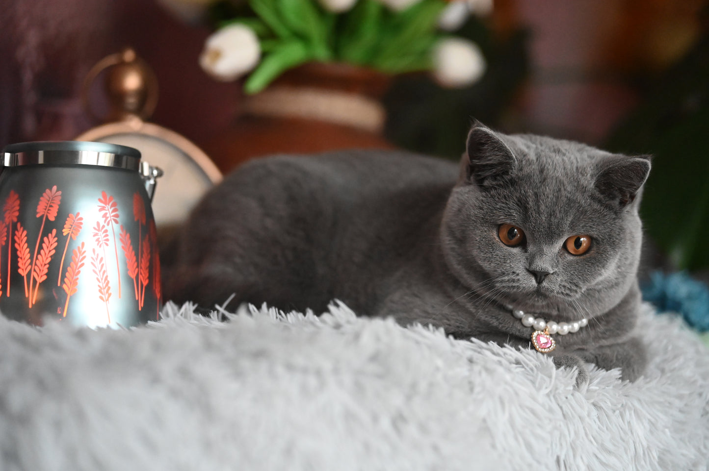 Pendant Necklace for Cat