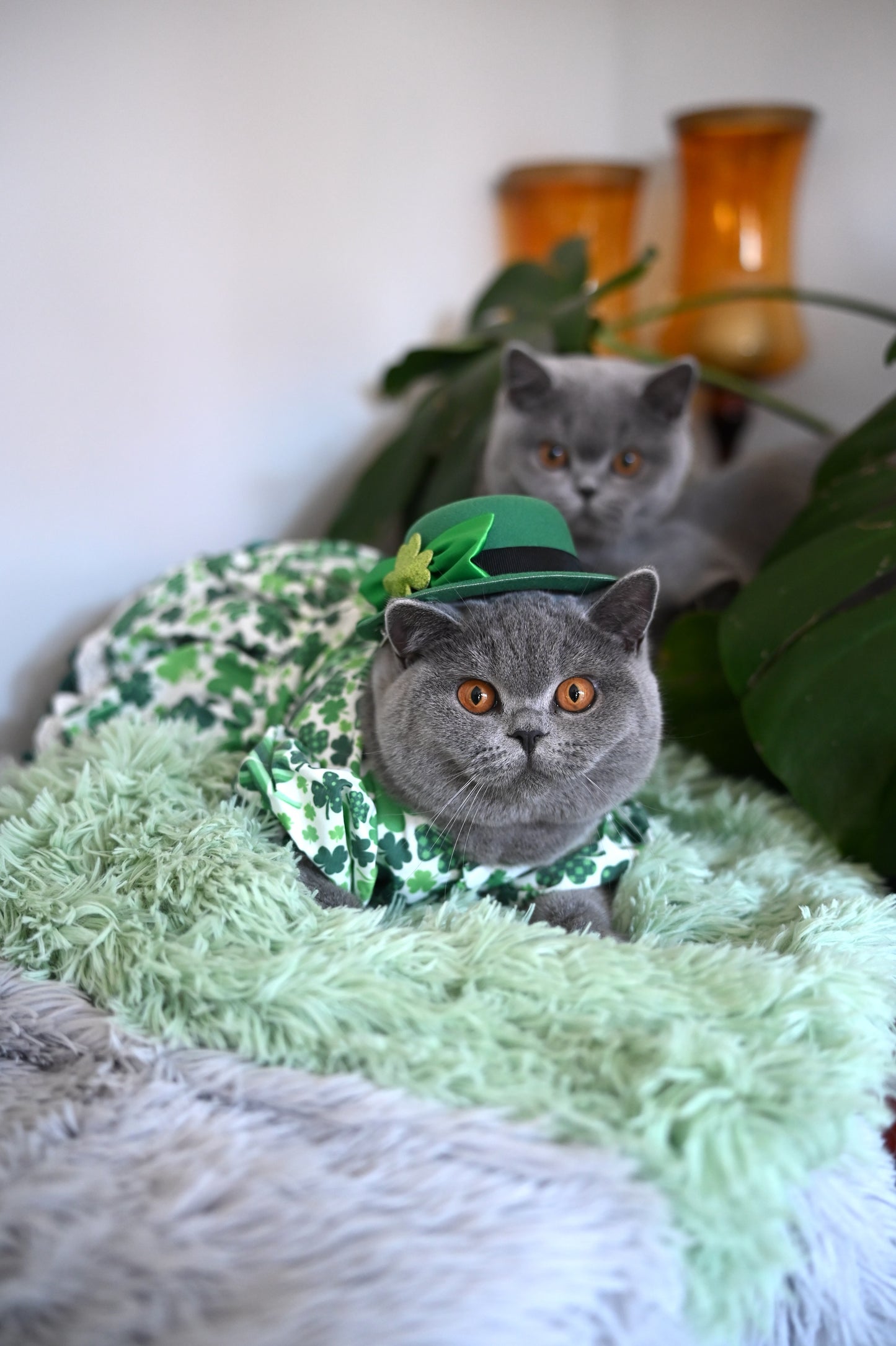 St. Patrick's Day Green Clover Princess Dress