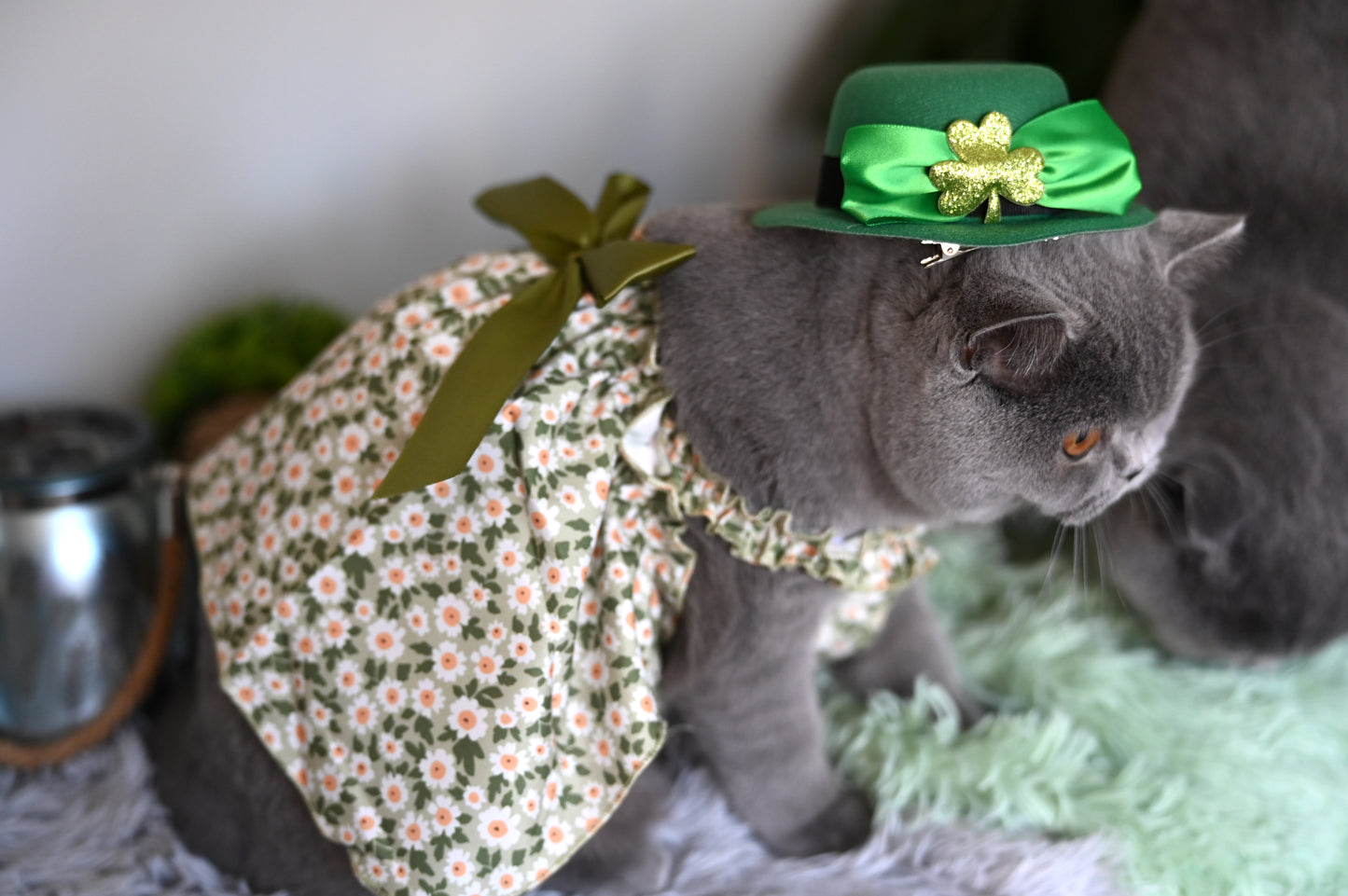 Romantic Style Cat/Dog Dress