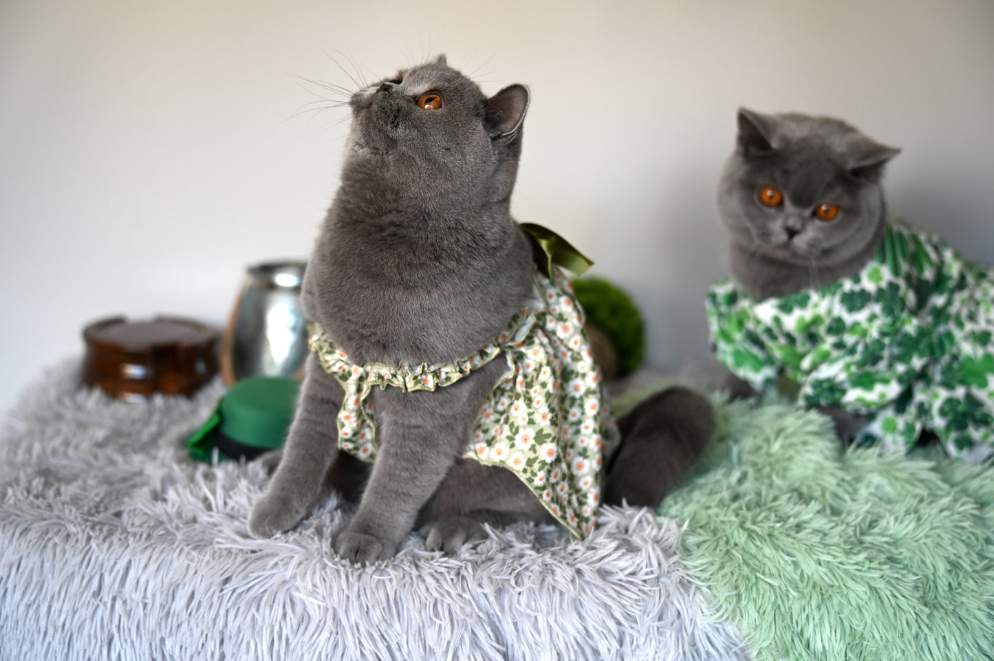 Romantic Style Cat/Dog Dress