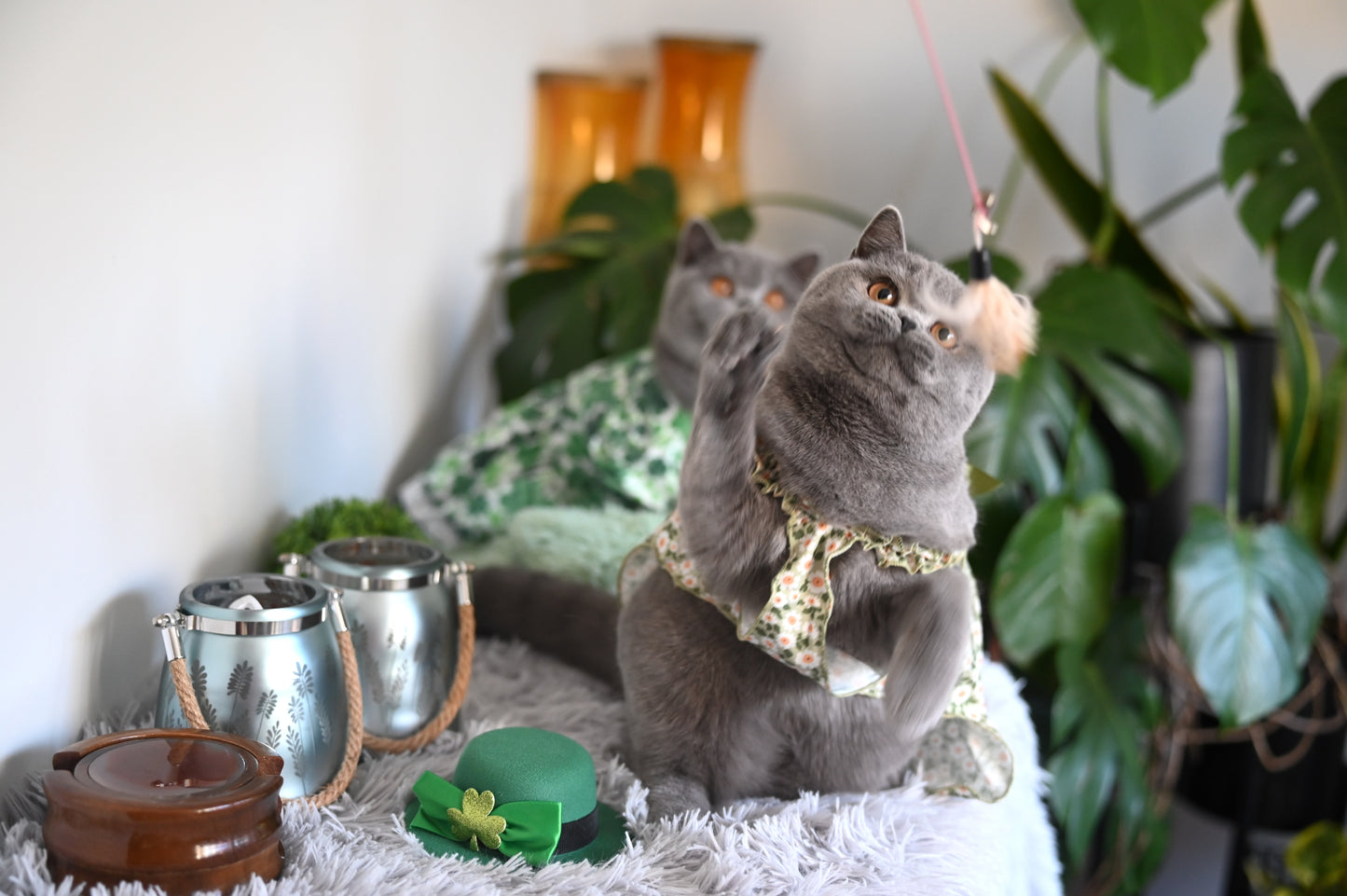 Romantic Style Cat/Dog Dress