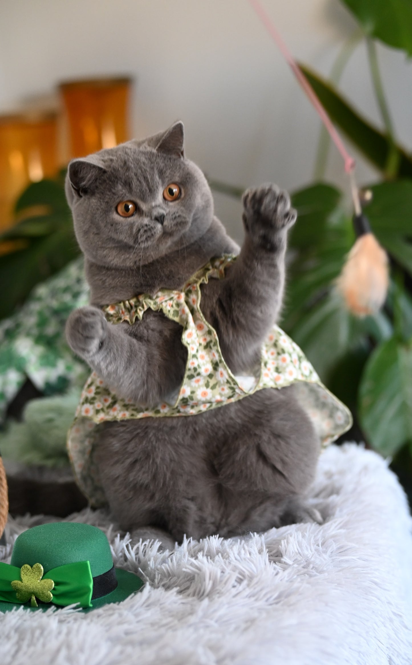 Romantic Style Cat/Dog Dress