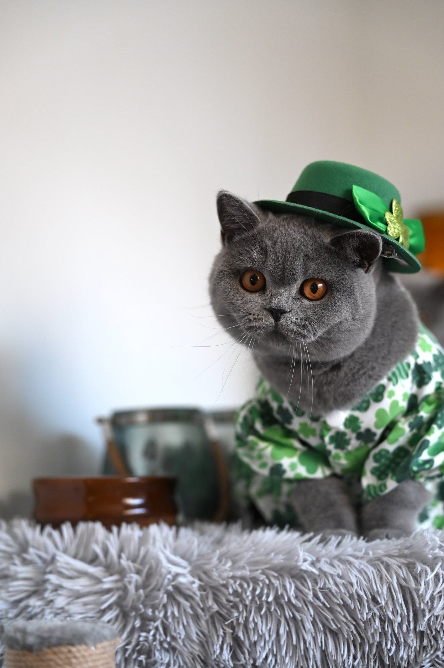 St. Patrick's Day Green Clover Princess Dress