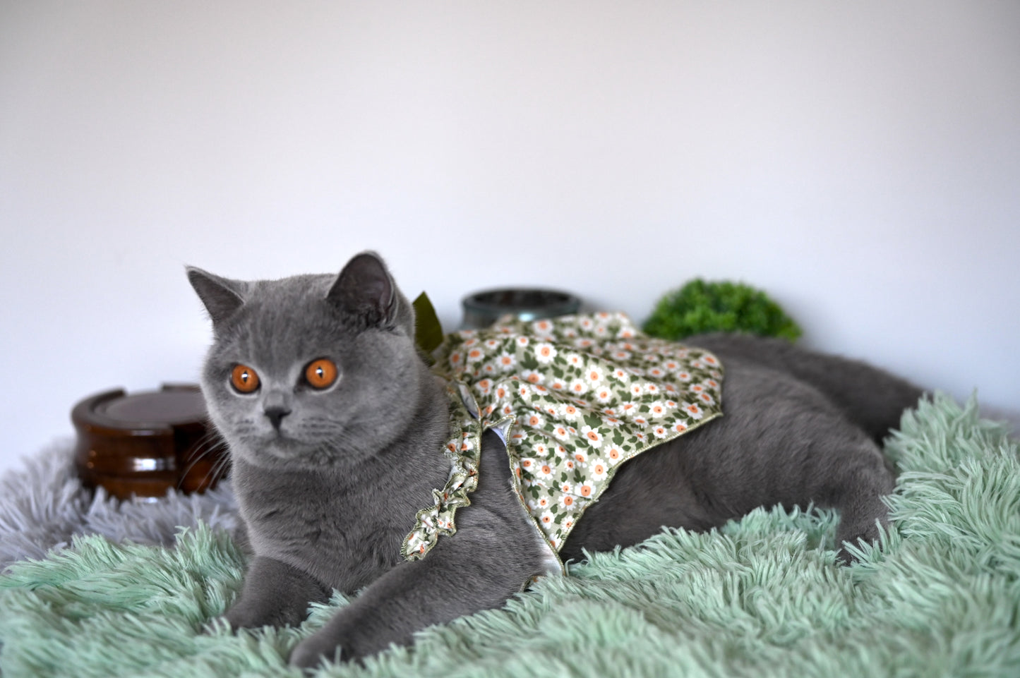 Romantic Style Cat/Dog Dress