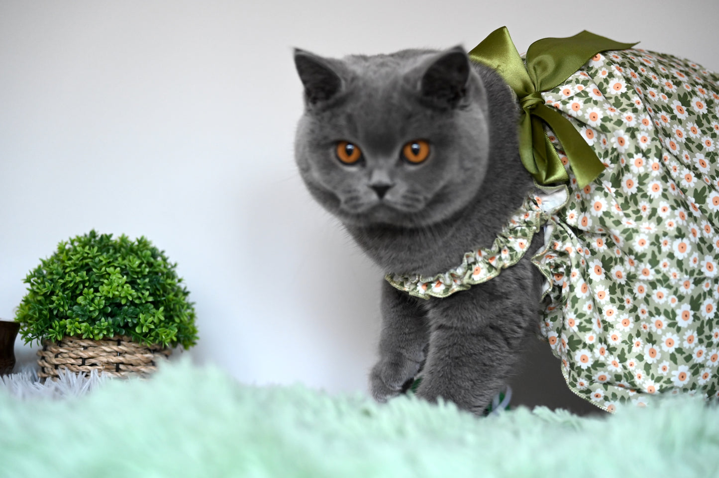 Romantic Style Cat/Dog Dress