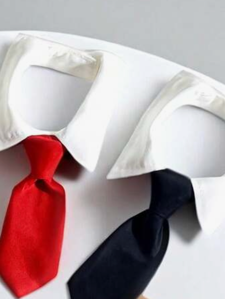 Pet Tie