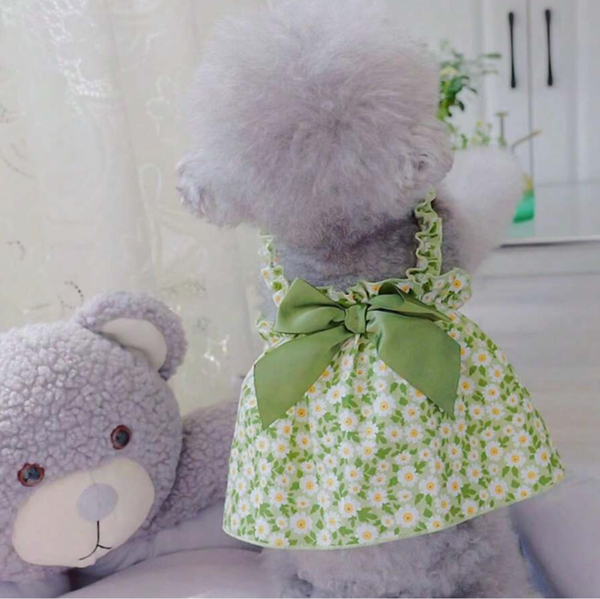 Romantic Style Cat/Dog Dress