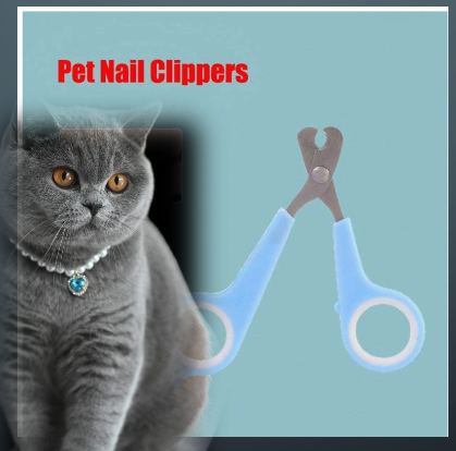 Pet Nail Scissors