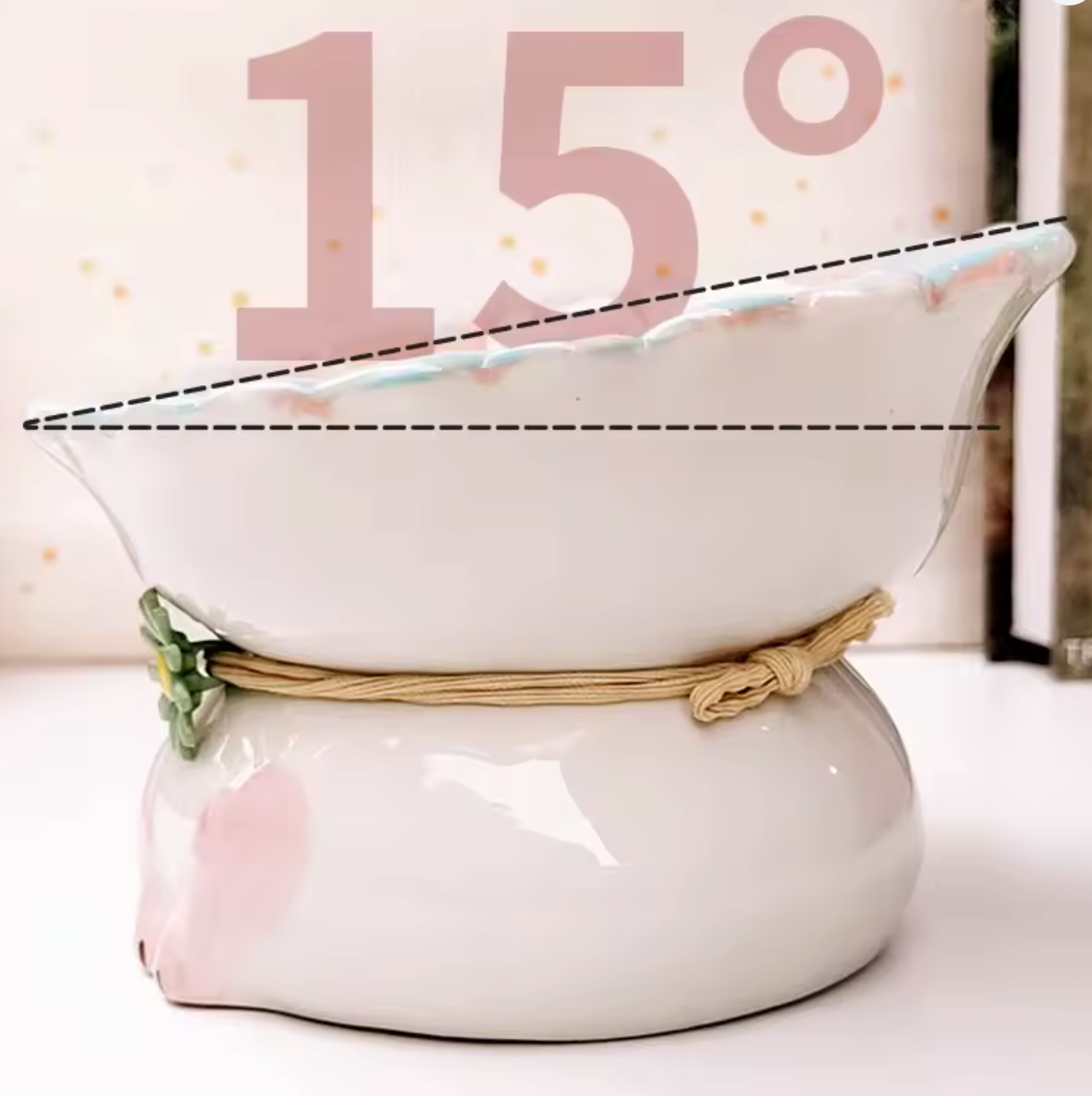 Ceramic Cat Bowl